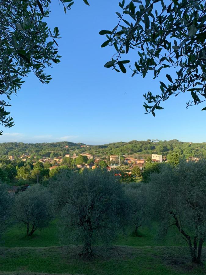 Marziani Rustic Tuscan House Capannori Zewnętrze zdjęcie