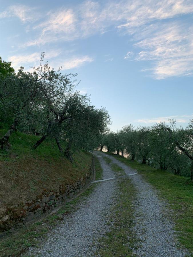 Marziani Rustic Tuscan House Capannori Zewnętrze zdjęcie