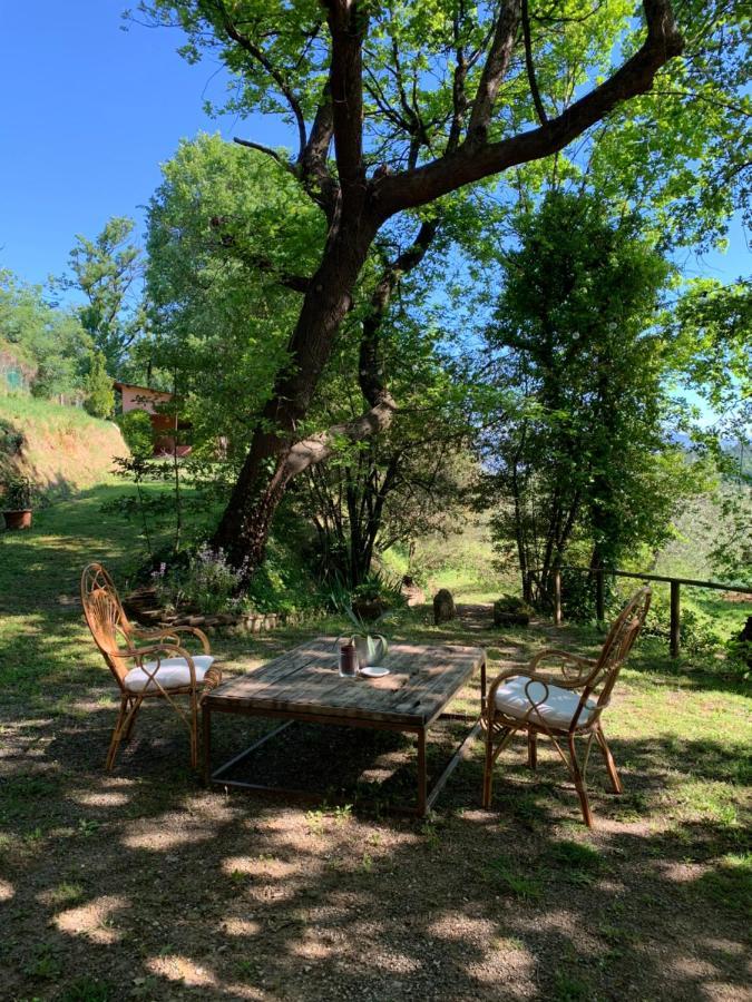 Marziani Rustic Tuscan House Capannori Zewnętrze zdjęcie